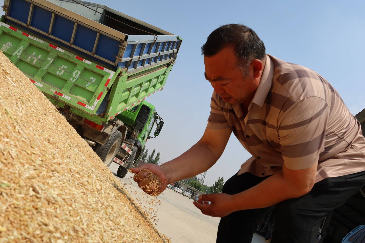 融媒·画像丨粮田“父子兵”：“钢铁机甲”列阵，“数字军团”作业