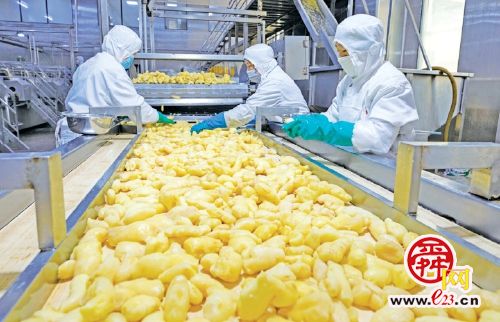 五图振兴 绘就莱芜乡村振兴美丽画卷