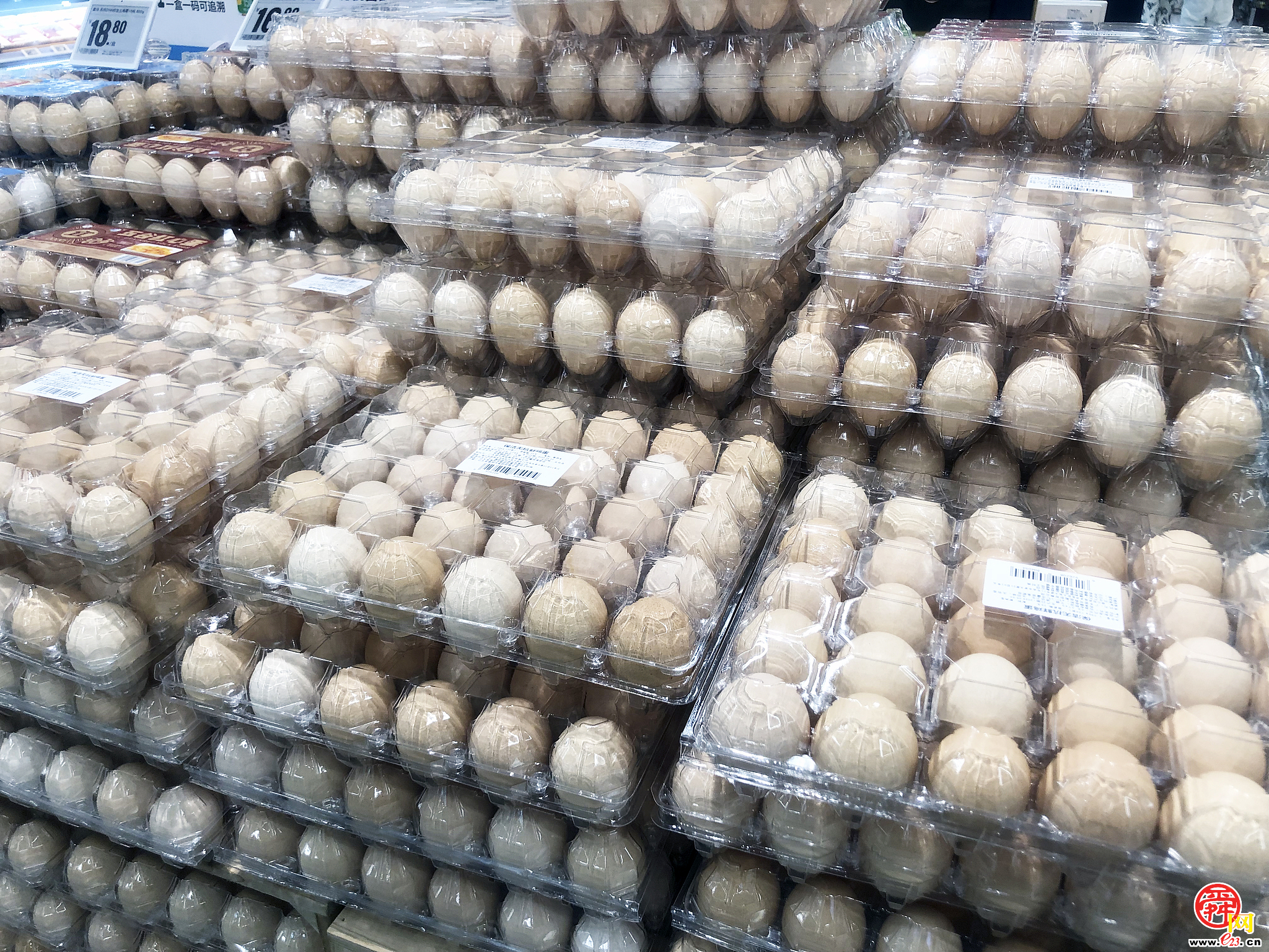 承压回落!山东鸡蛋价格创近5年来新低