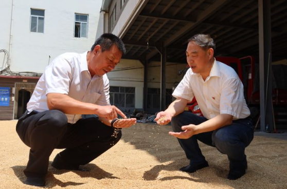 融媒·画像丨收集“泥土数据”，算出“大国粮策”——麦田“精算师”