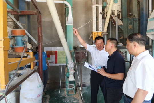 融媒·画像丨收集“泥土数据”，算出“大国粮策”——麦田“精算师”