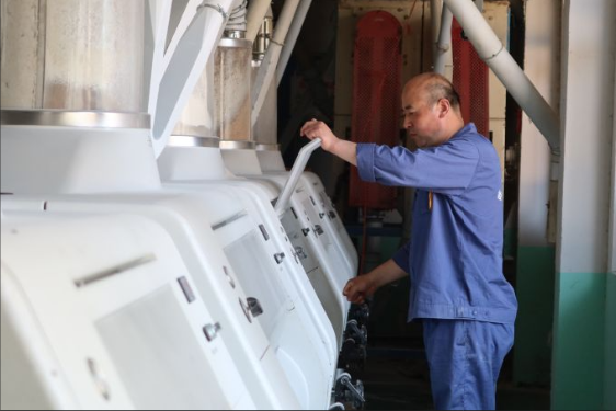 融媒·画像丨收集“泥土数据”，算出“大国粮策”——麦田“精算师”