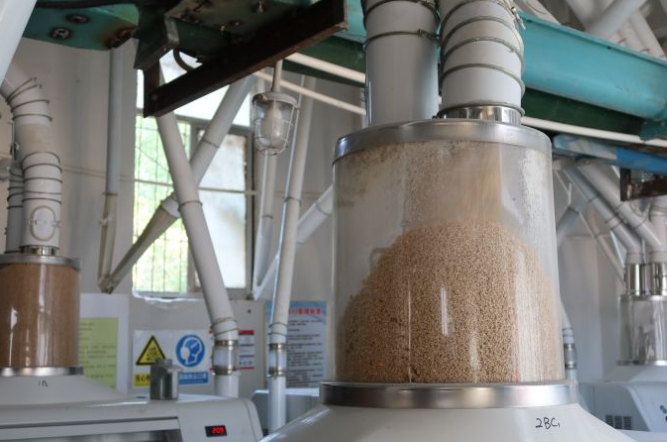 融媒·画像丨收集“泥土数据”，算出“大国粮策”——麦田“精算师”