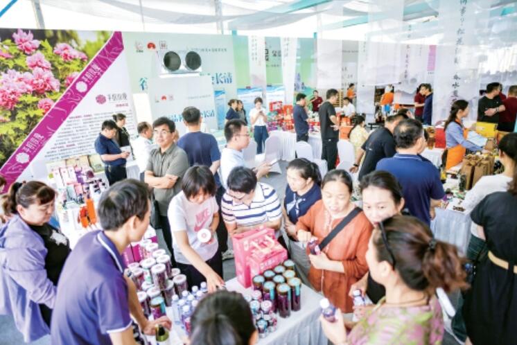 第十九届茶博会昨日开幕，800余家茶企同台亮相