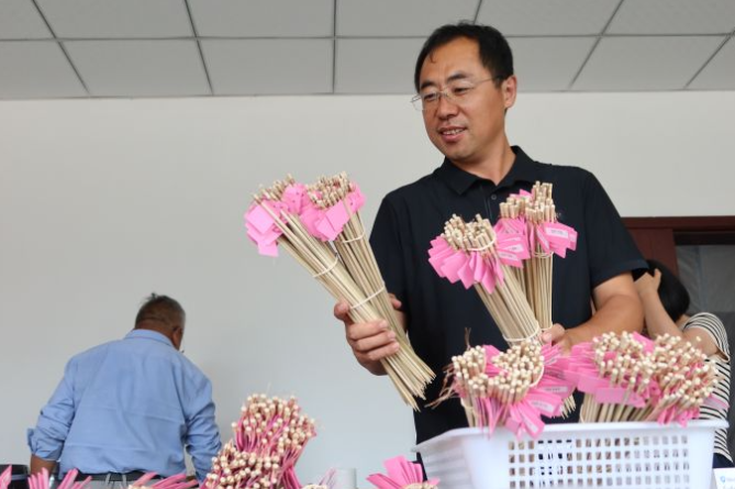 融媒·画像丨试验田里，71个“选手”正在经历一场“淘汰赛”——稻香探秘者