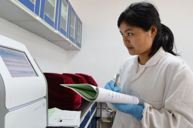 融媒·画像丨试验田里，71个“选手”正在经历一场“淘汰赛”——稻香探秘者