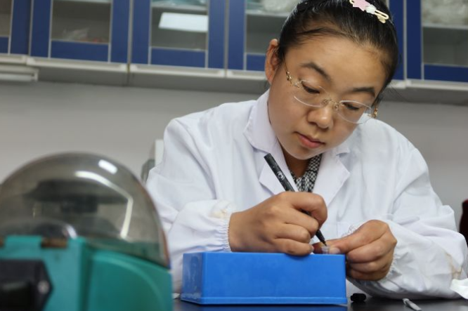 融媒·画像丨试验田里，71个“选手”正在经历一场“淘汰赛”——稻香探秘者