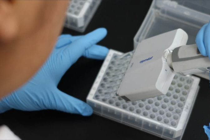 融媒·画像丨试验田里，71个“选手”正在经历一场“淘汰赛”——稻香探秘者