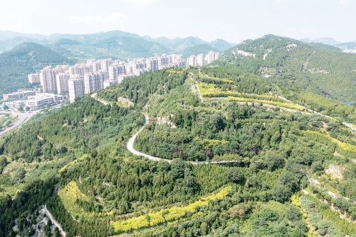 推窗见绿！济南因地制宜，打造“百姓园林”新模式