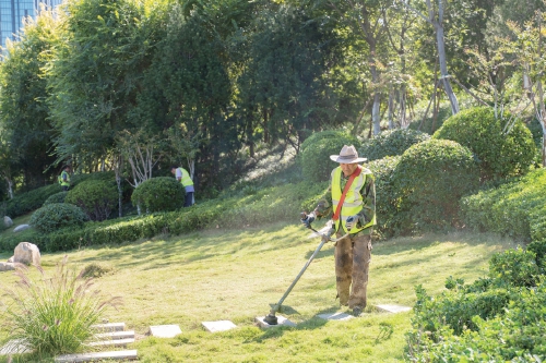 推窗见绿！济南因地制宜，打造“百姓园林”新模式