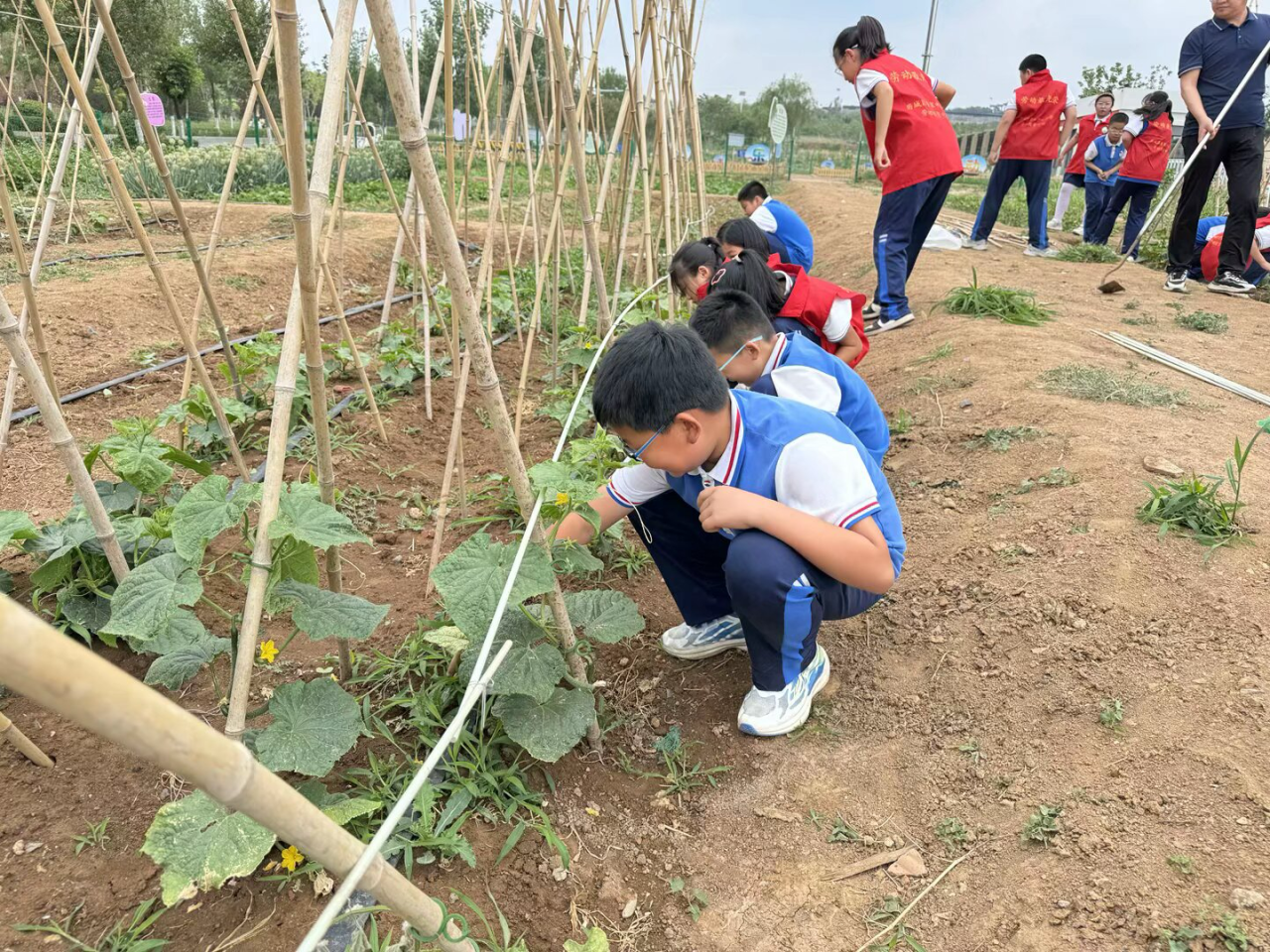 童趣爱沃土 绿意满未来——济南市历城区董家中心小学全国土地日主题活动