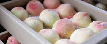 历史的回响｜梦想起航的地方