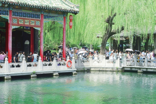 一年四季 泉在济南｜趵突泉黑虎泉水位时隔3个月重返28米