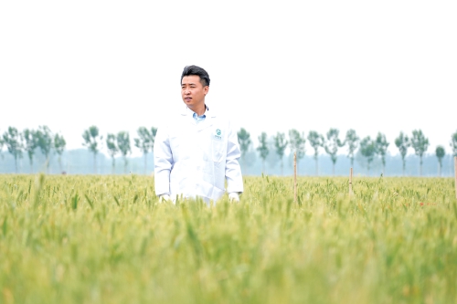 90后“新农人”姜传伟：让希望的种子在田野生长