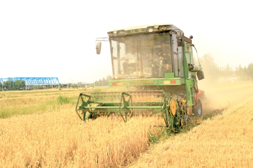 90后“新农人”姜传伟：让希望的种子在田野生长