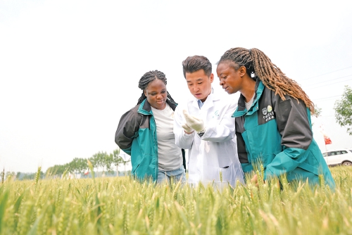 90后“新农人”姜传伟：让希望的种子在田野生长