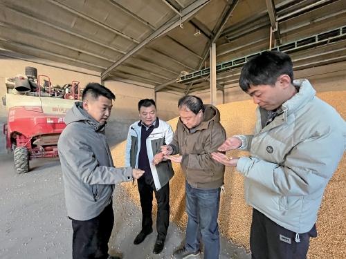 90后“新农人”姜传伟：让希望的种子在田野生长