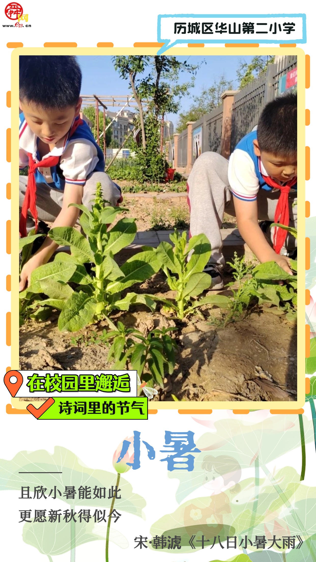 在校园里邂逅诗词里的节气｜小暑