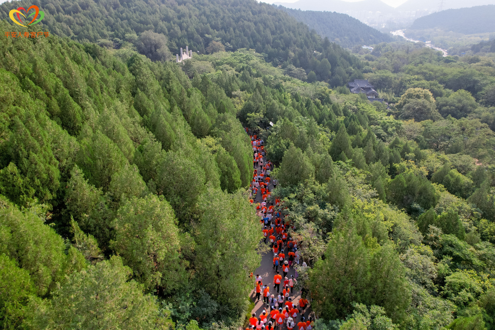 千佛山健步行热力开跑！平安人寿第三十届客户节山东启幕，服务体验再升级