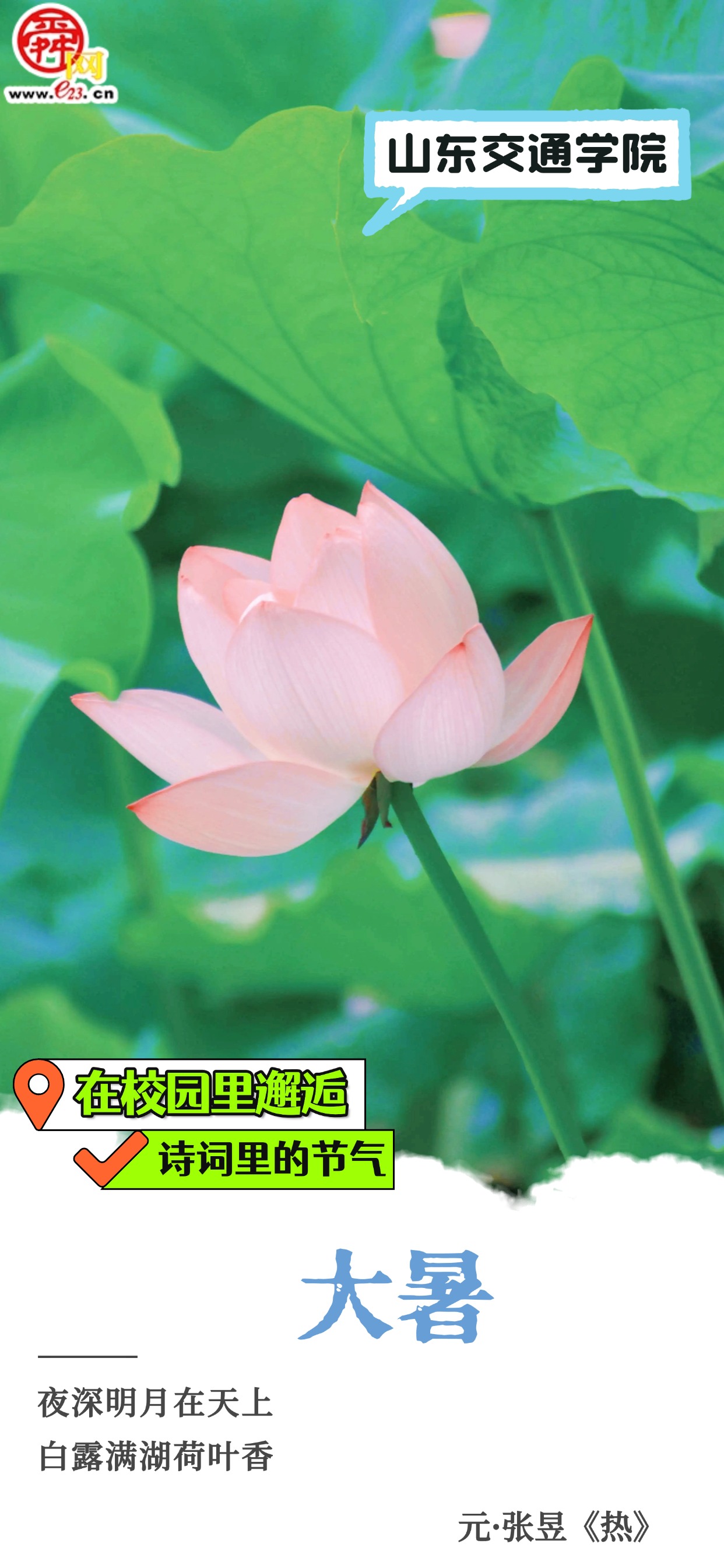 在校园里邂逅诗词里的节气｜大暑