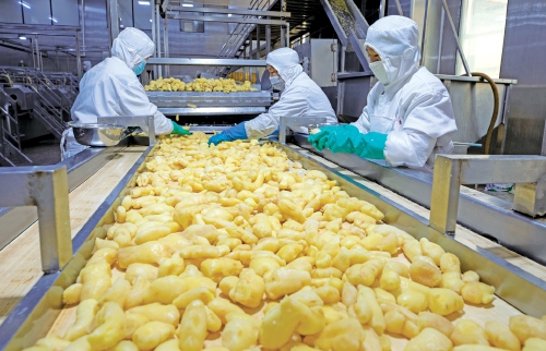 济南特色产业多点开花 激活乡村振兴新动能