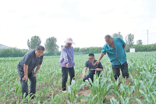 陡沟法庭用心用情平衡“法理”与“情理”——把矛盾纠纷化解在“家门口”
