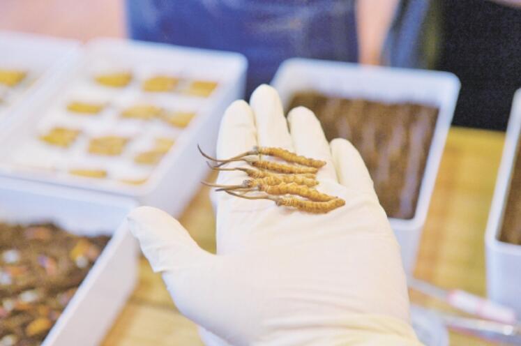 济南这些文化特色园藏惊喜