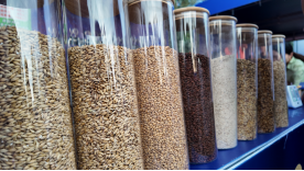 融媒·见证丨　当“齐鲁工艺”遇到“新疆风味”——跨越3000公里的酒香