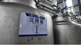 融媒·见证丨　当“齐鲁工艺”遇到“新疆风味”——跨越3000公里的酒香