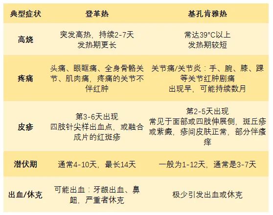 紧急提醒：基孔肯雅热禁用这种常见药！