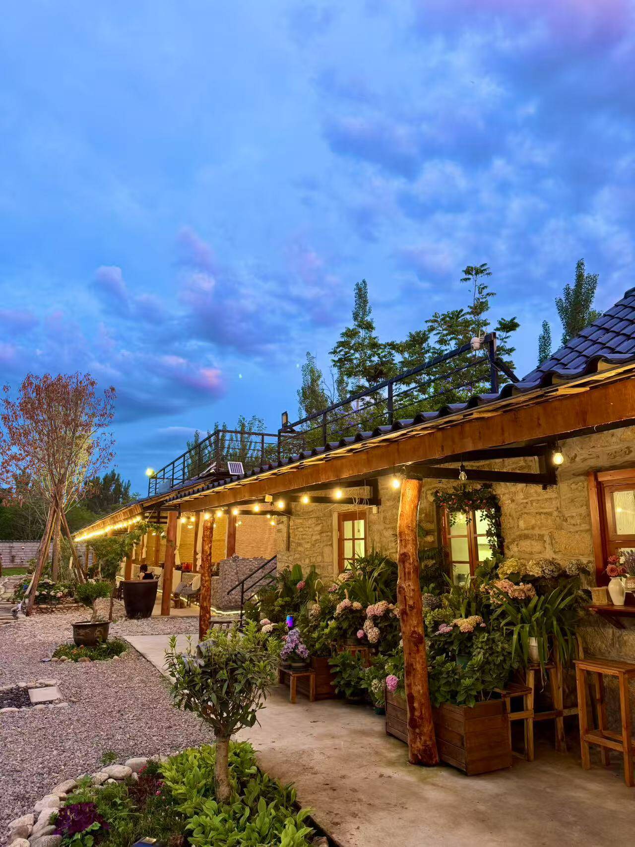 融媒·画像丨“十八般武艺”傍身，“95后”小伙返乡“开荒”——一院灯火听河吟