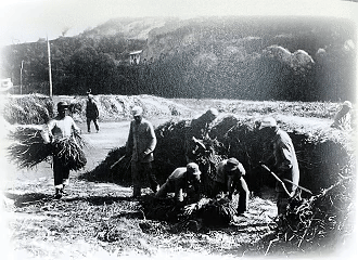 抗战图影修复集⑥ 