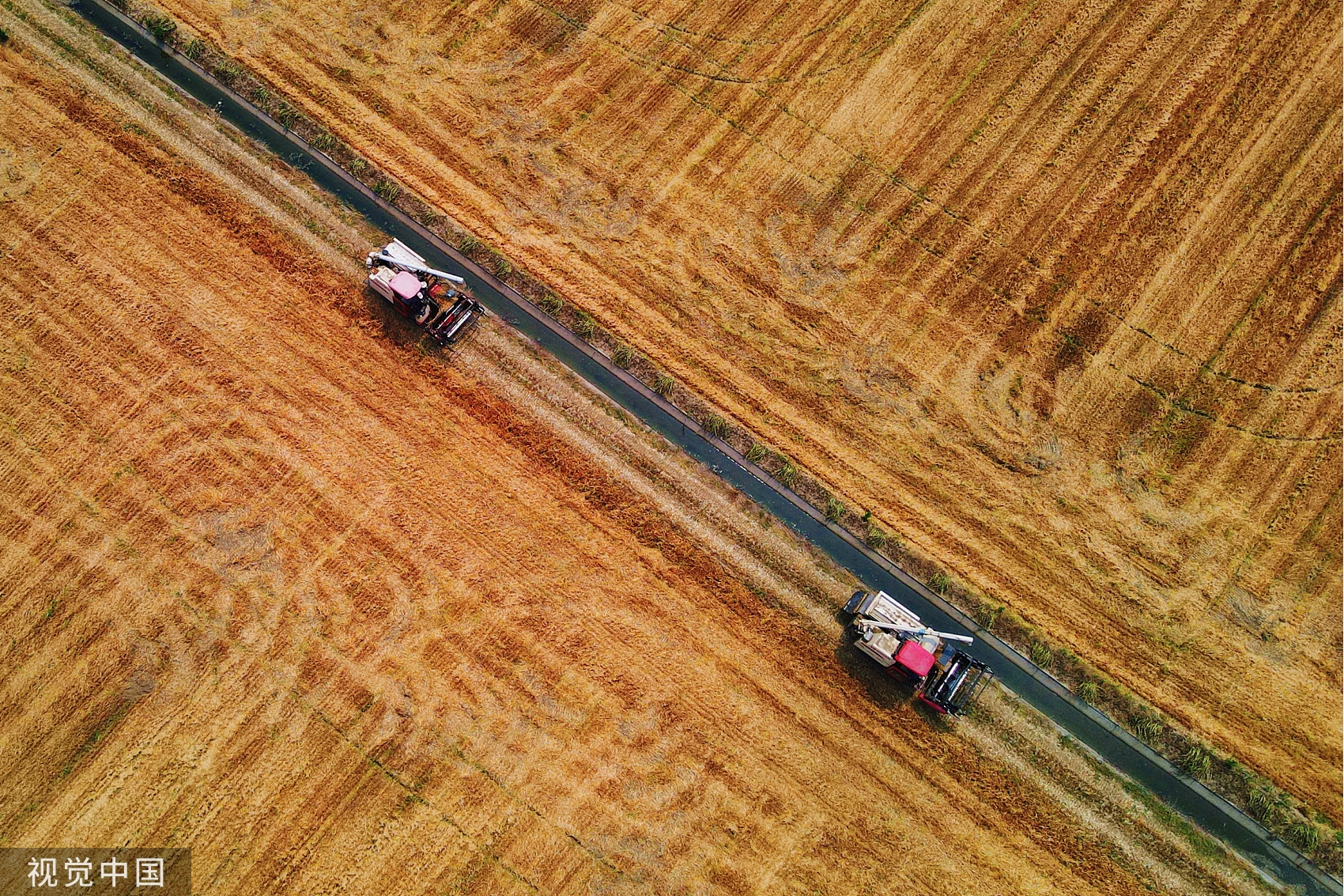 《山东省粮食安全保障条例》9月1日起施行