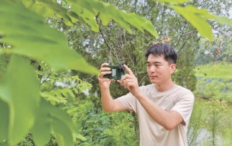 济南发现山东省禾本科假稻属新记录种