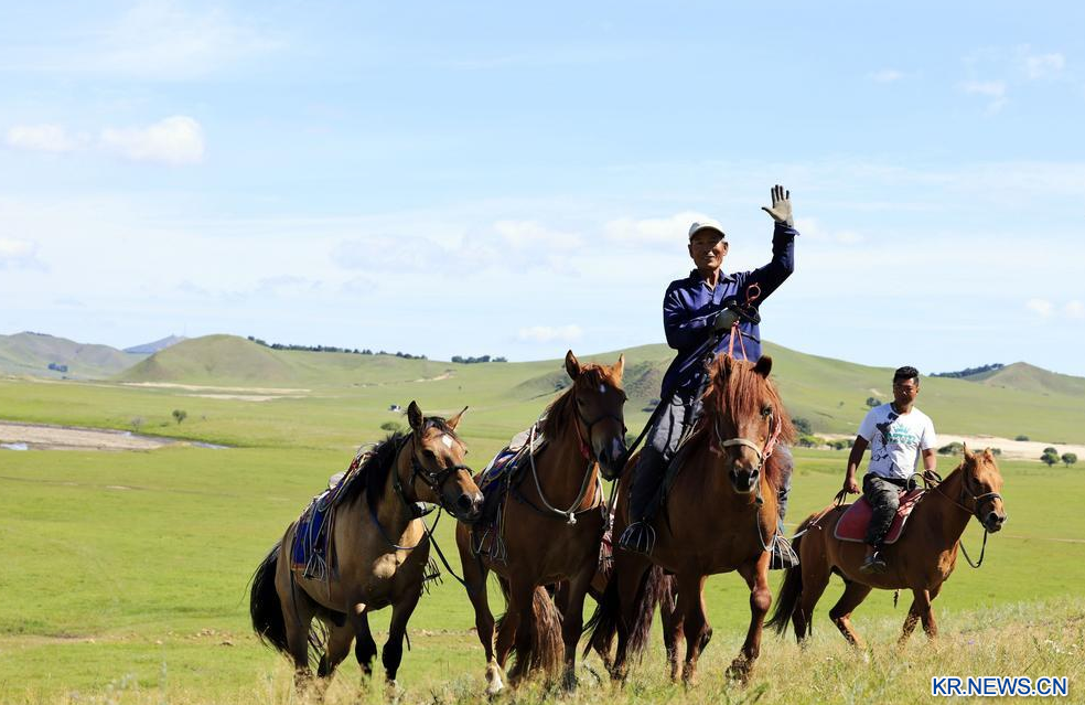 中 네이멍구, 우란부퉁의 싱그러운 여름 풍경