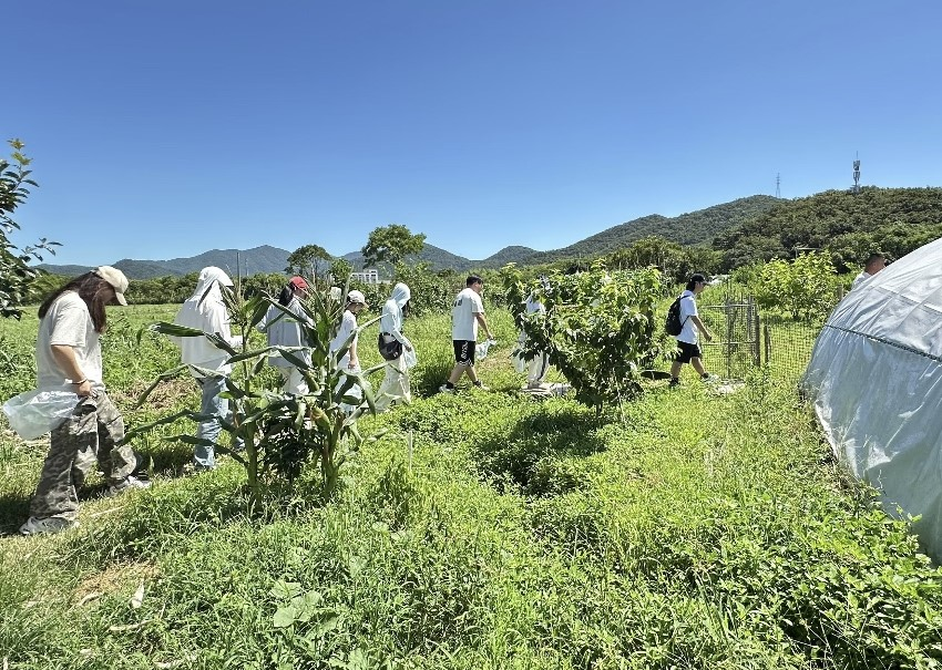 阳光人寿浙江分公司：以责任与温度传递保险力量