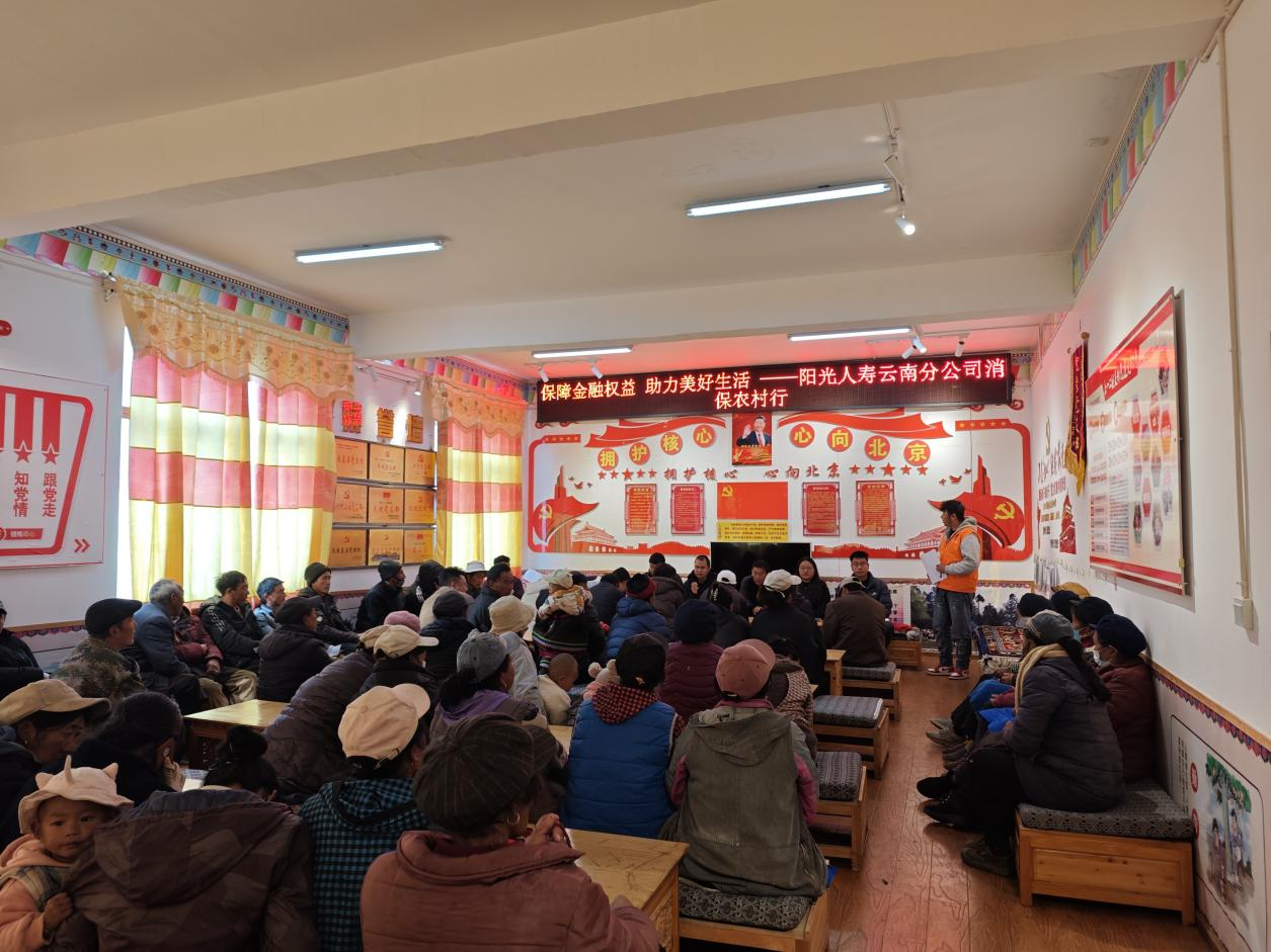 阳光人寿驻村干部格茸达瓦：澜沧江畔禹功村的振兴实践