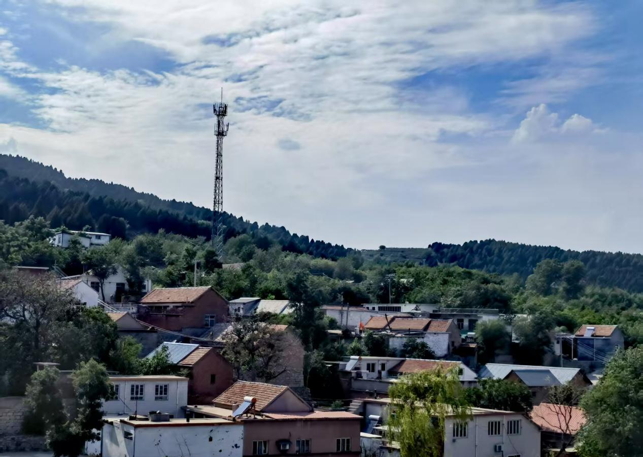 电信普遍服务十周年,济南联通数字技术赋能乡村振兴实践录
