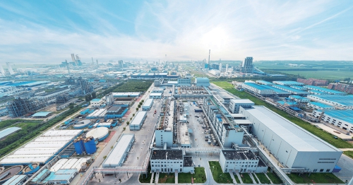 融媒·见证丨这家民营企业，将“教训”炼成“金子”——“跌倒”赢来百亿市场