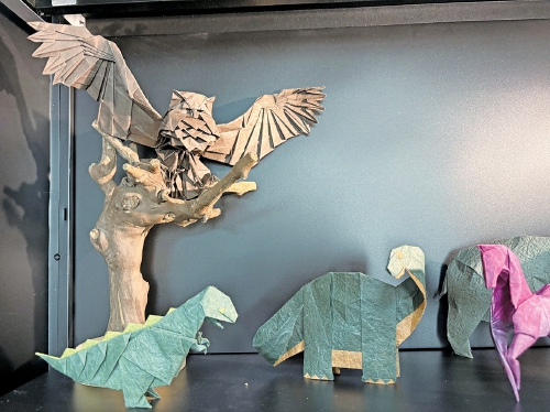 把纸折成事业！看济南小伙的“纸上人生”