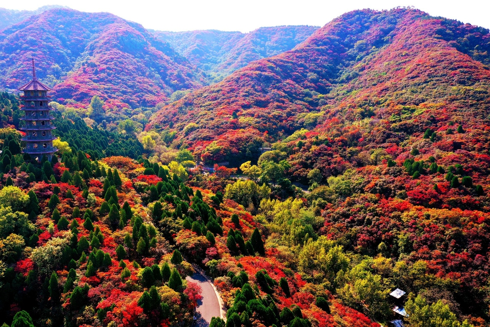 寻泉探秘去哪里？来，一起沉浸式体验济南泉水生活！