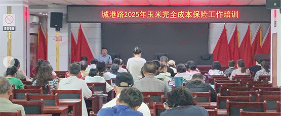 平安产险莱州支公司开展2025年玉米完成成本保险工作培训