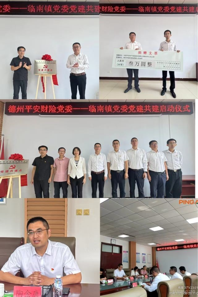 平安产险德州中心支公司乡风文明100行动落地德州市临邑县临南镇