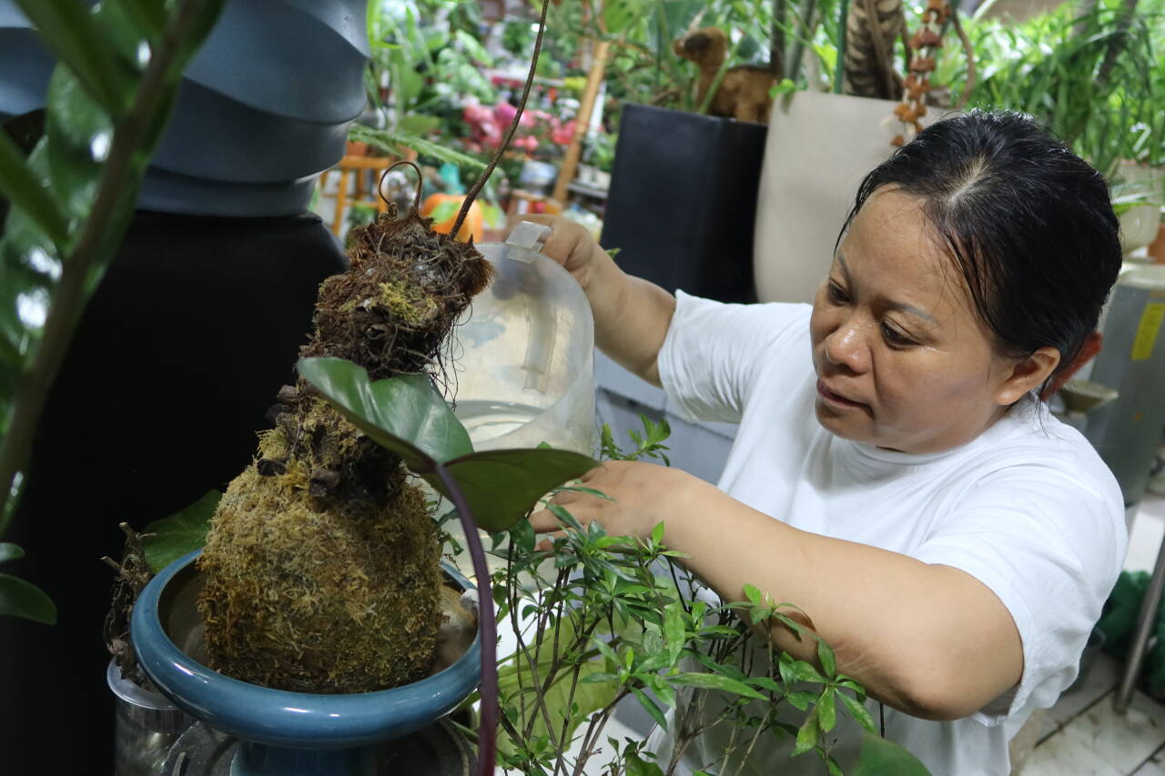 融媒·画像丨意外来到济南，决心留在济南——一位河南母亲的“济南奇缘”