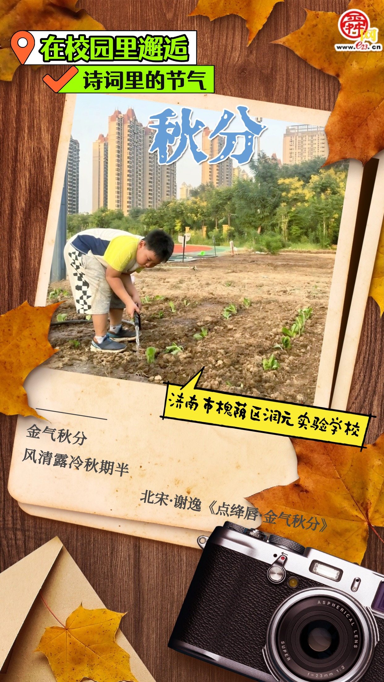 在校园里邂逅诗词里的节气｜秋分