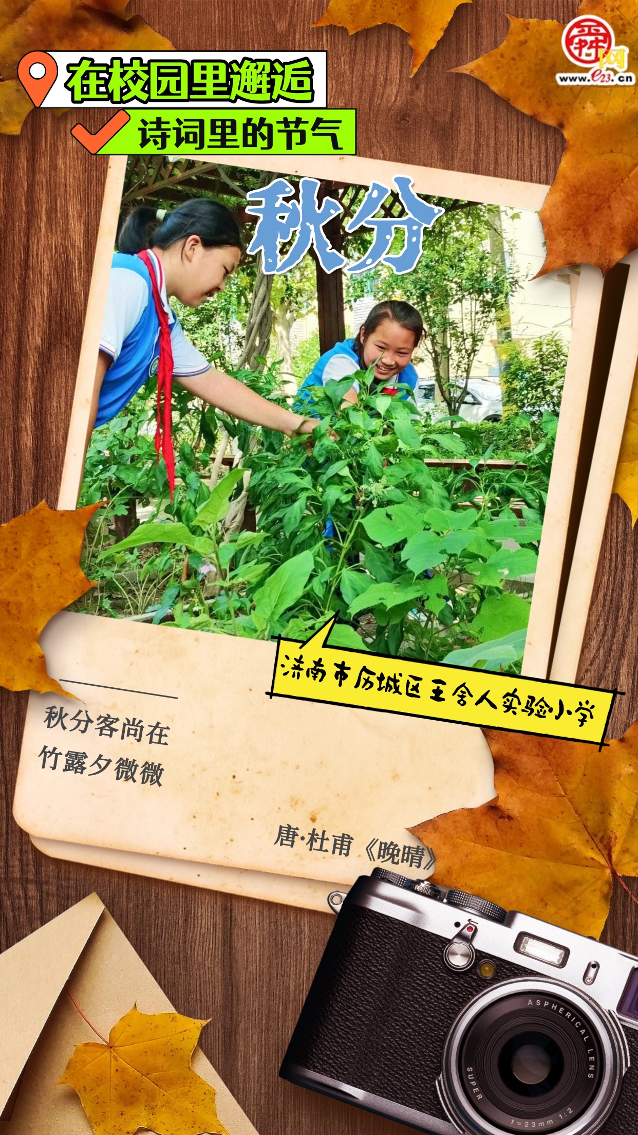 在校园里邂逅诗词里的节气｜秋分