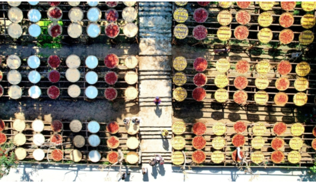 秋分至，又是一年丰收时