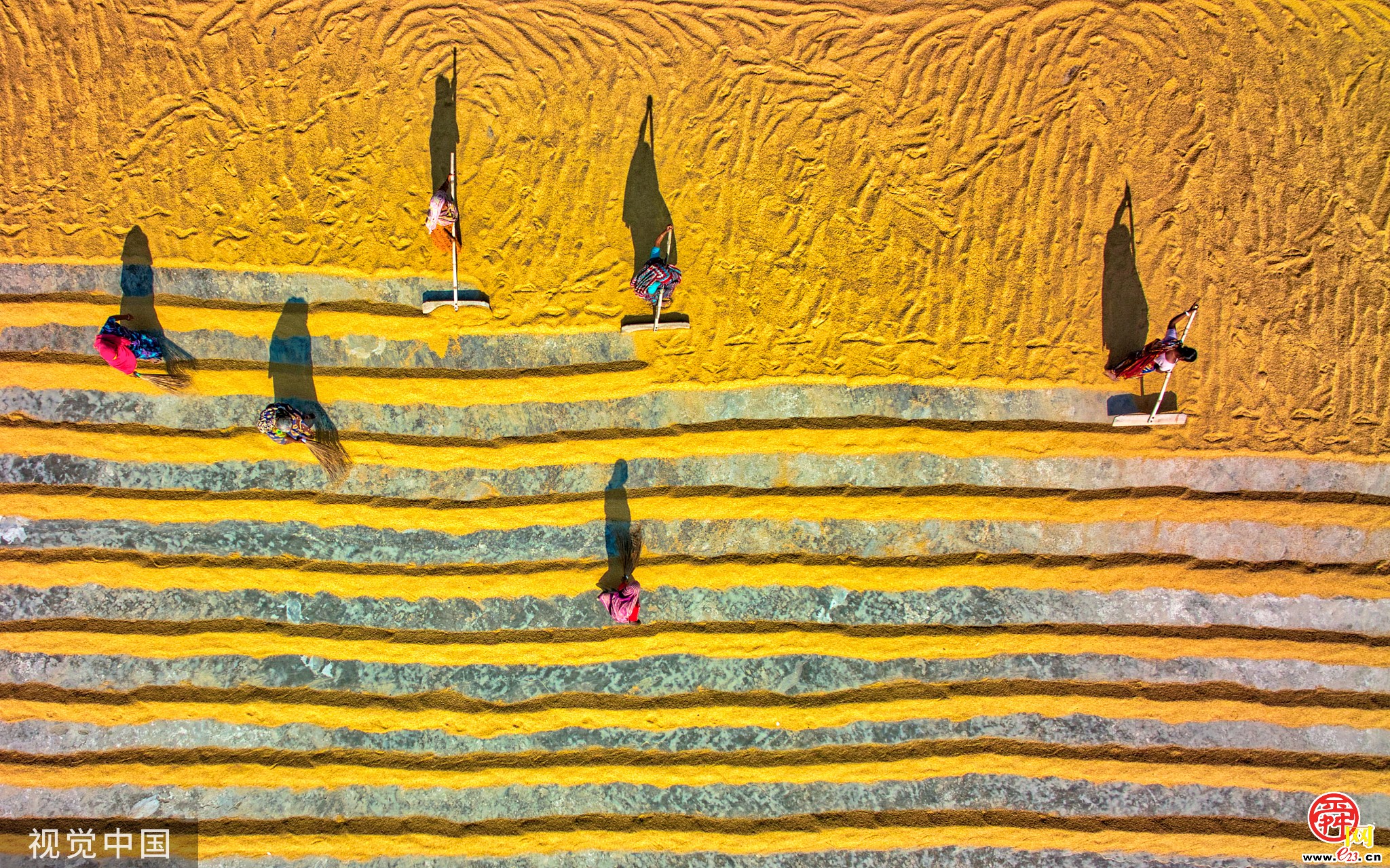 秋分至，又是一年丰收时