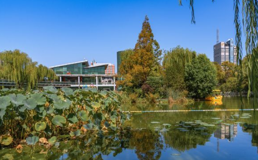 一年四季 泉在济南丨泉城公园：秋光正好，邂逅城市中的自然诗意