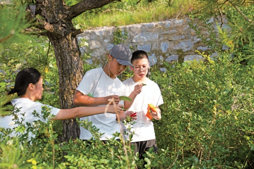 迷彩少年 青春铸魂